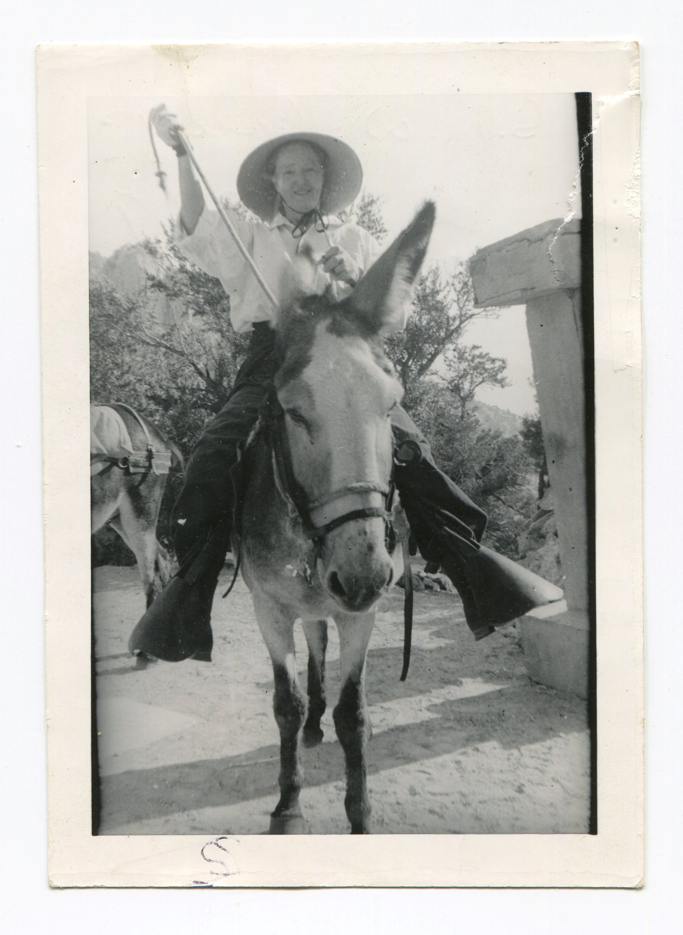 1939 Ashrama camp - Sherifa on donkey