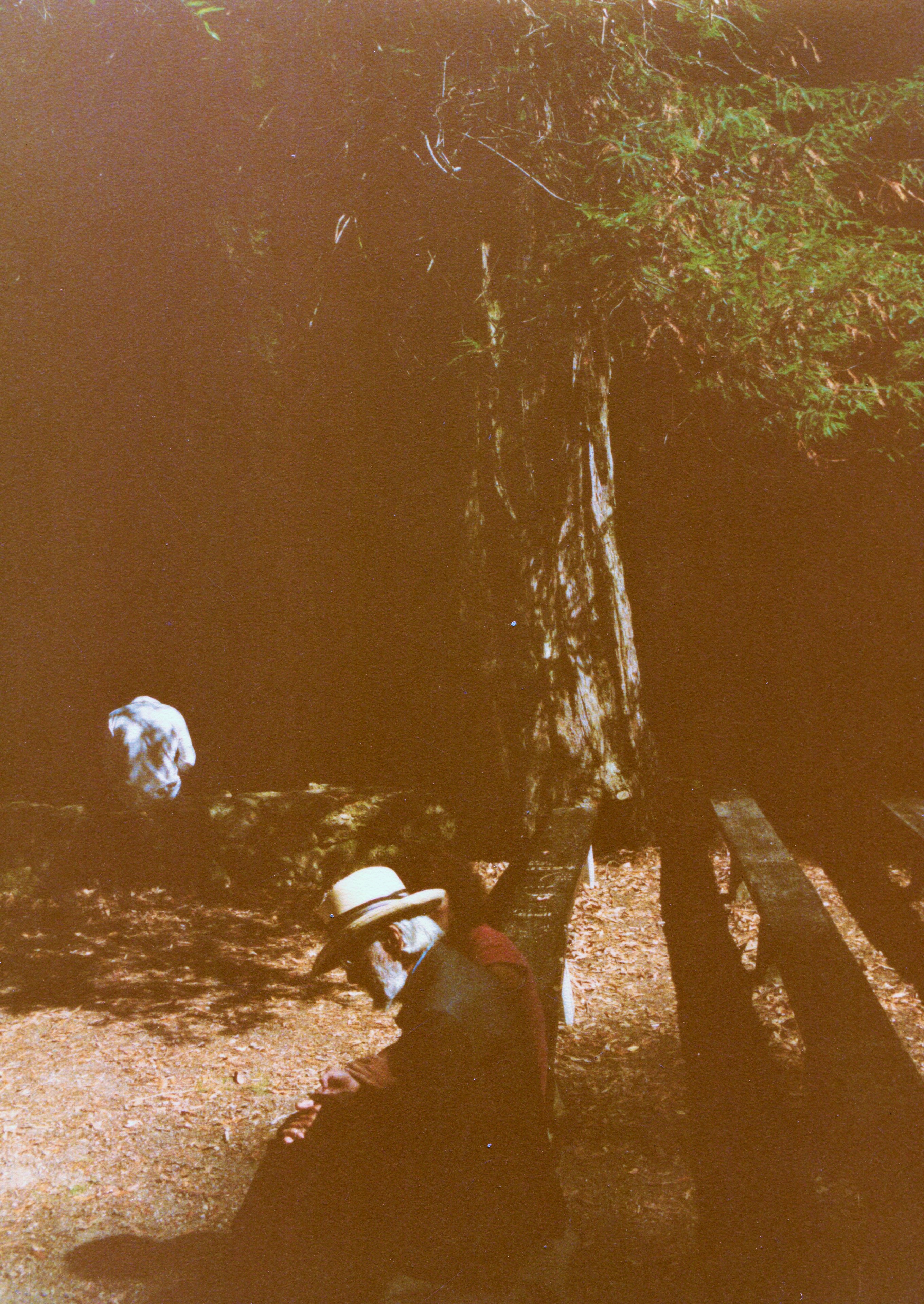 1983-Oct Redwoods, FMW, John Flinn