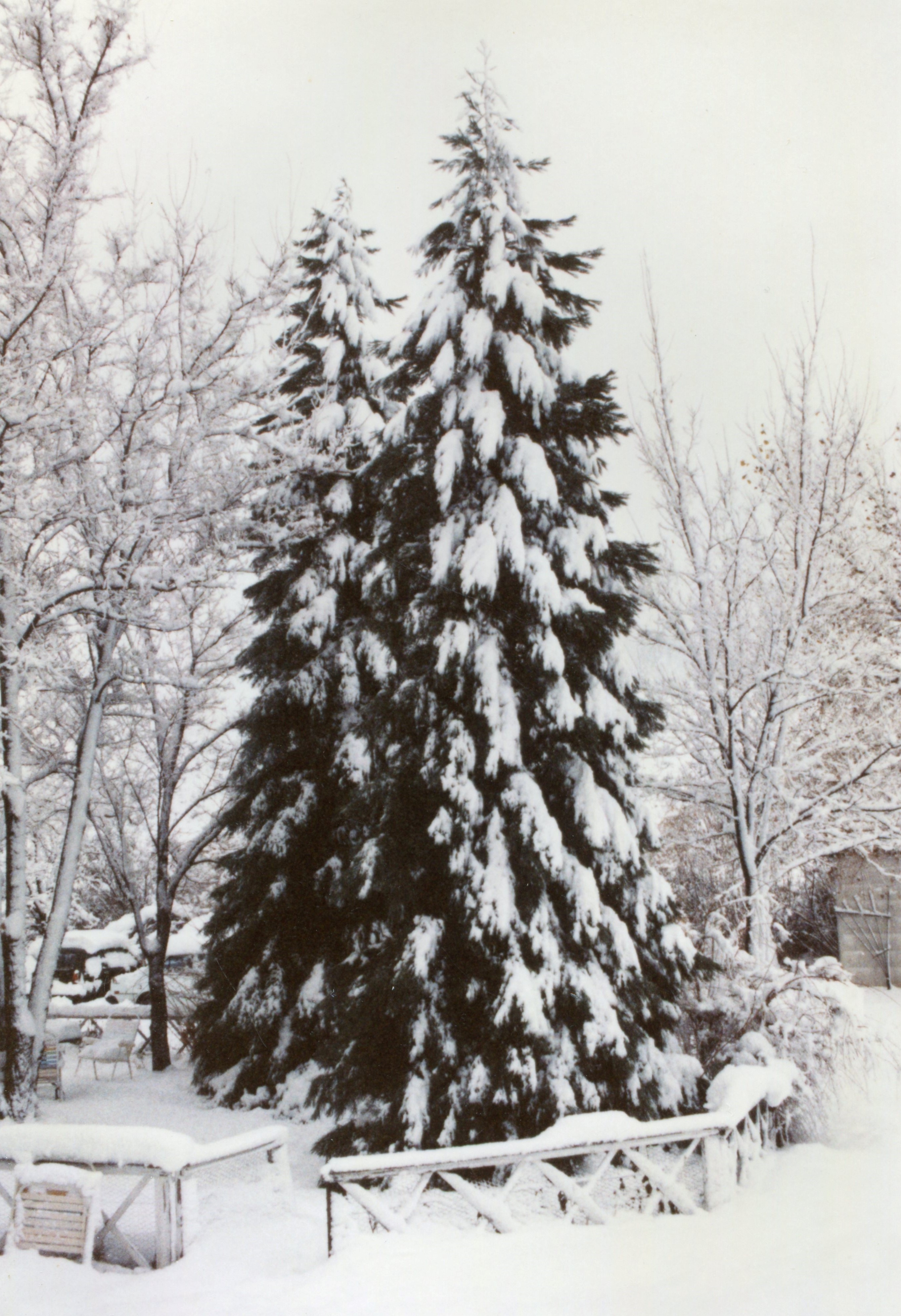 1984-Dec FMW home, Winter Garden 1