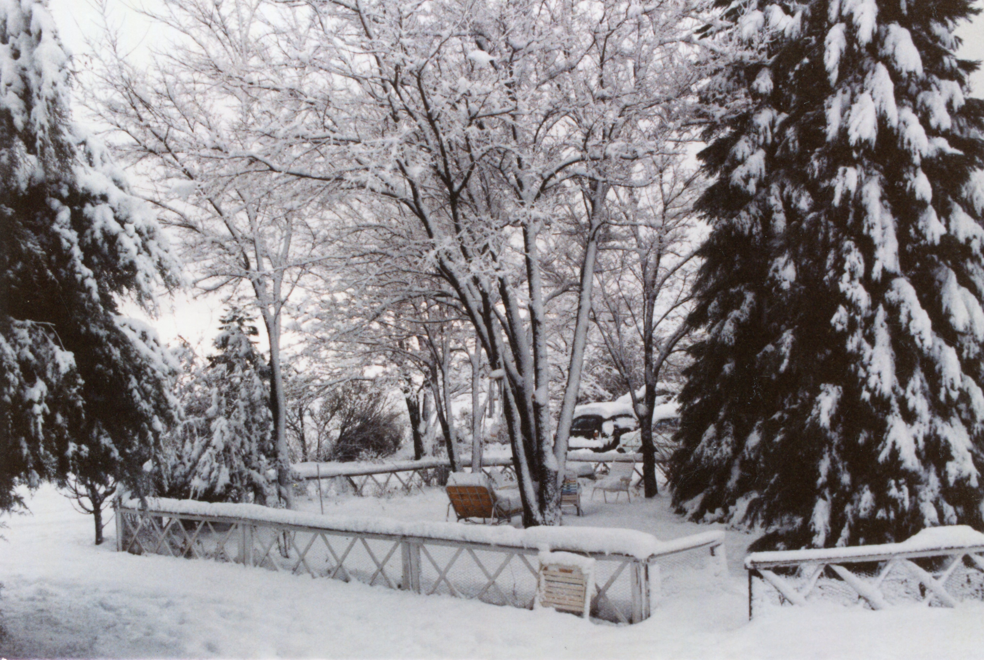 1984-Dec FMW home, Winter Garden 2