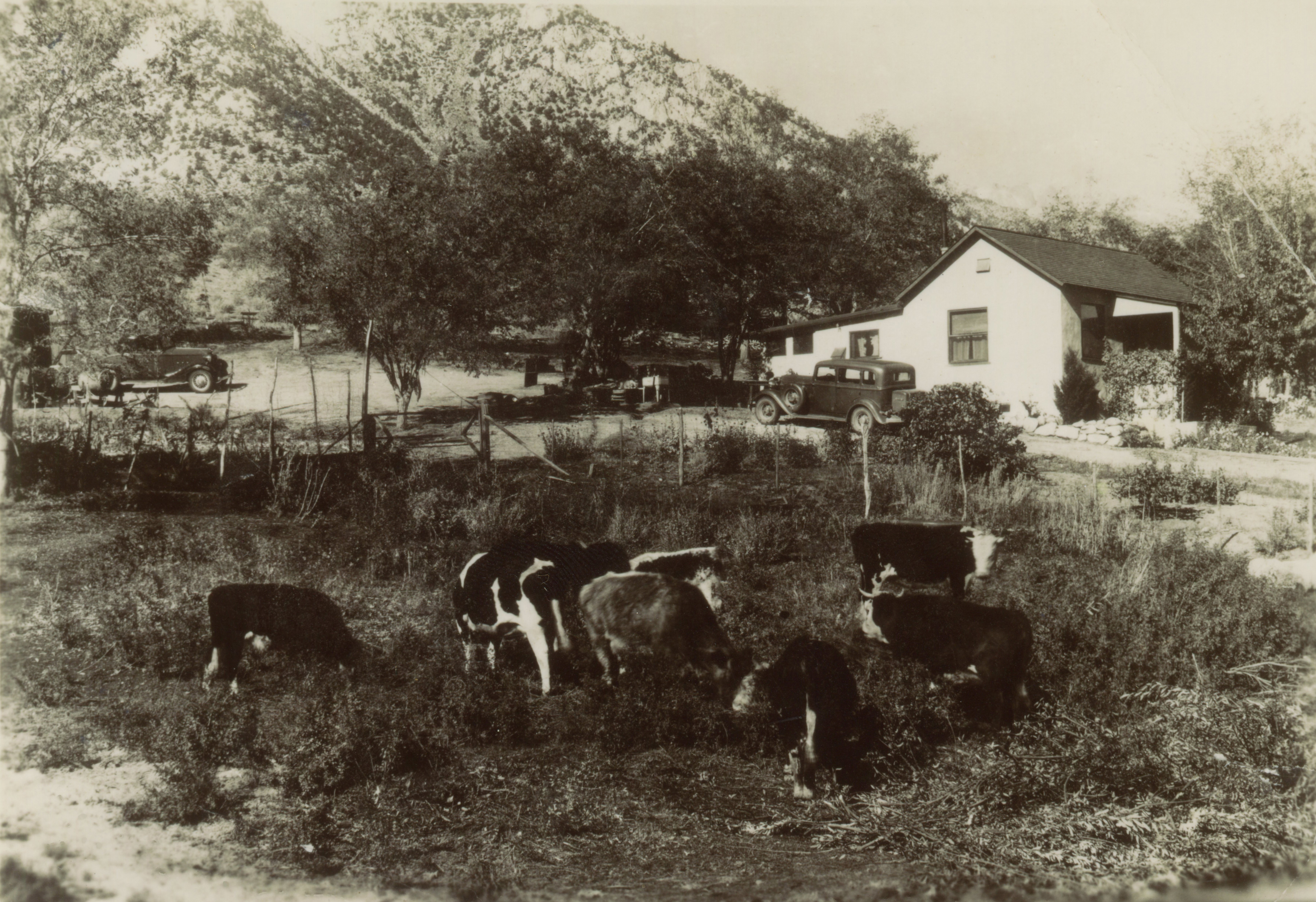 Ranch House c. 1930s